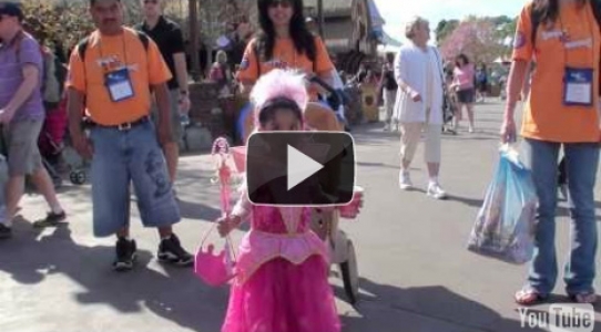 Dariana's Princess Costume Showcase! - Magical Moment 2011 