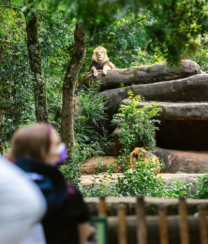 Summer Reunion at the Zoo!