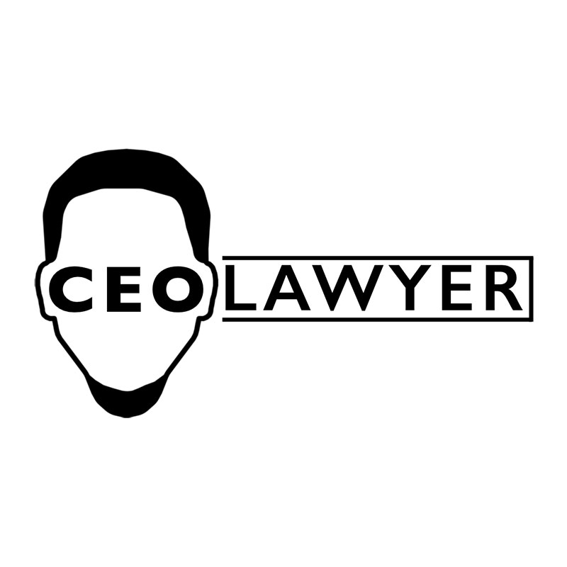 CEO Lawyer