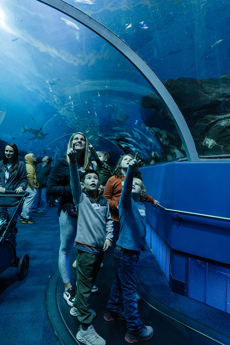 We met our 2024 families at Georgia Aquarium!
