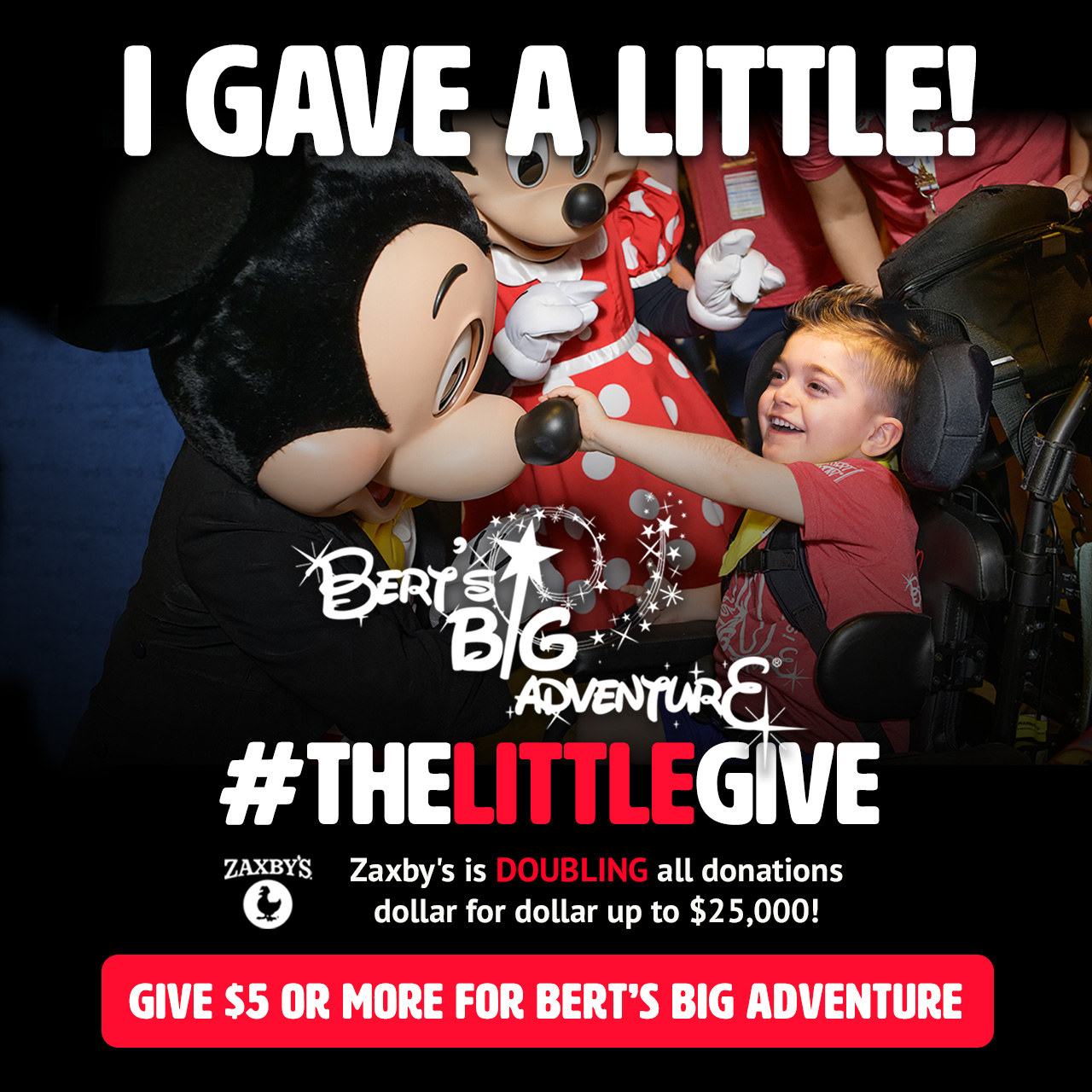 The Little Give 2024